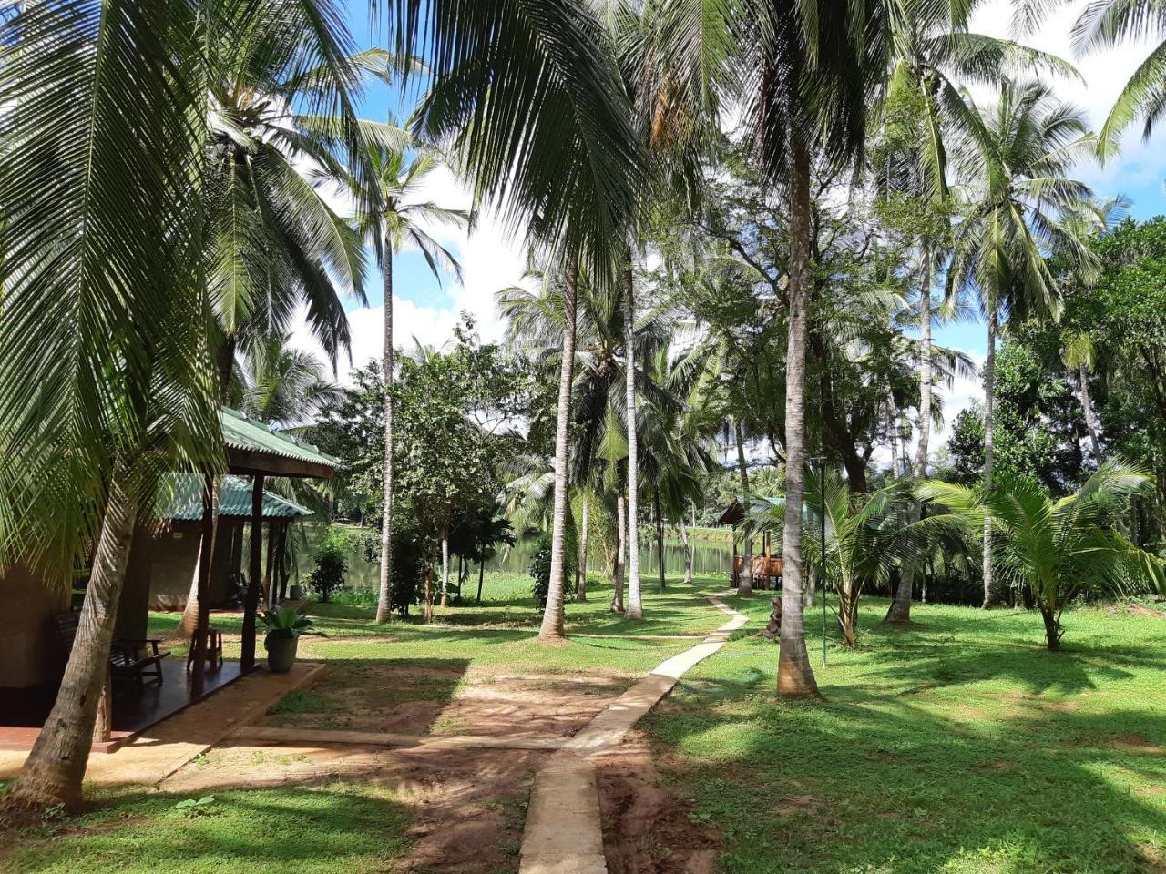 Udawalawa Safari Resort Udawalawe Exterior photo